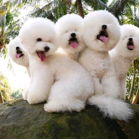 你假我转身，封心锁爱