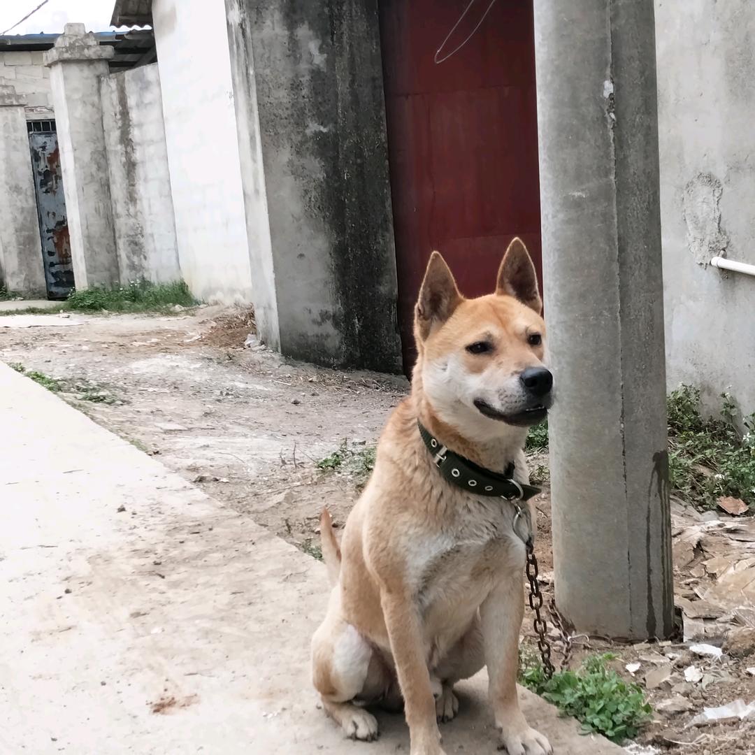 怀着心中新希望