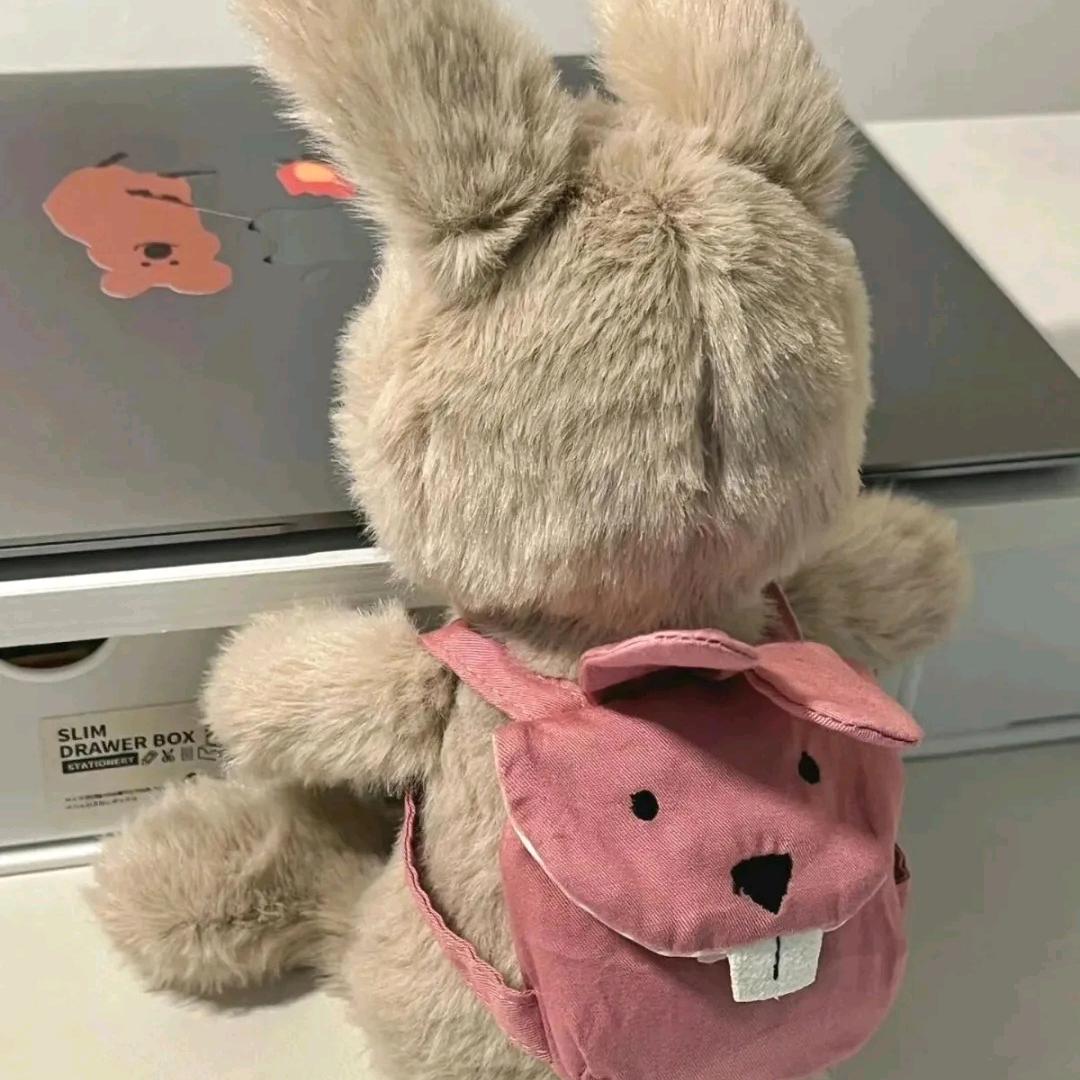 熊二让我当公主