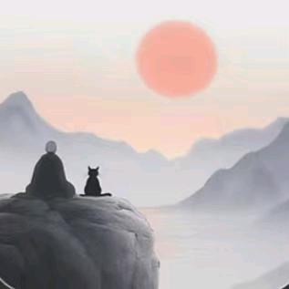 珂度说事