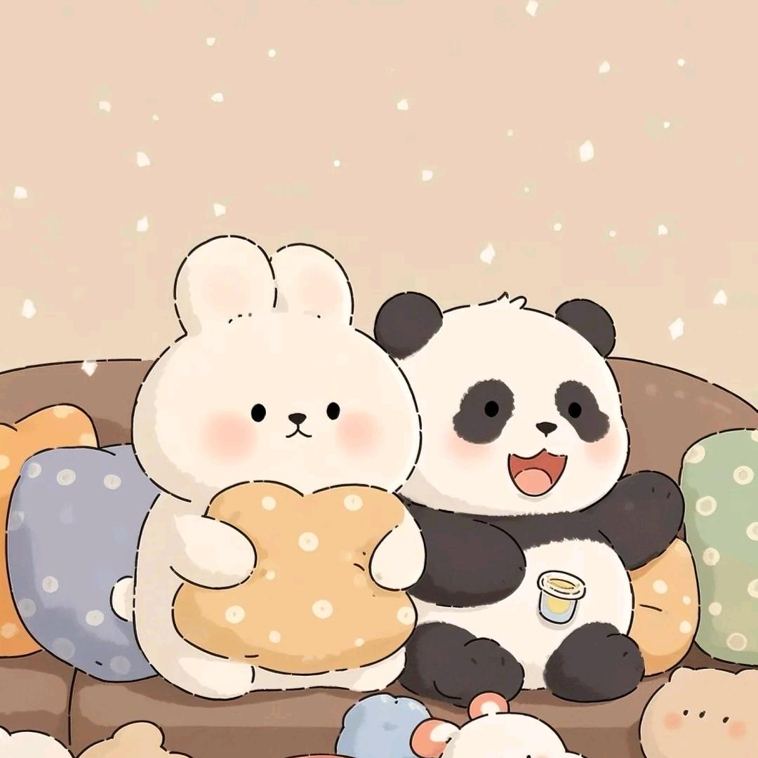 胖达兔gether