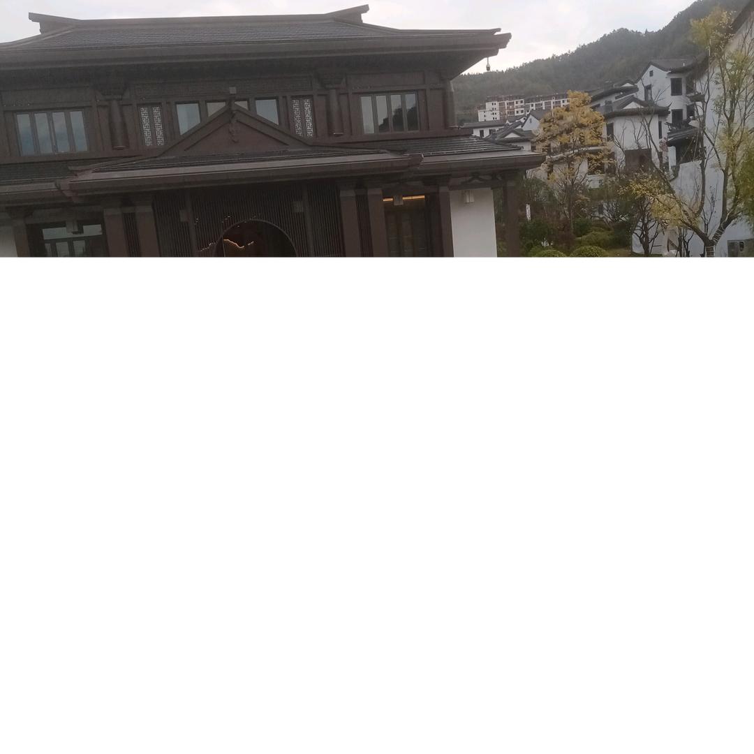 真心相待