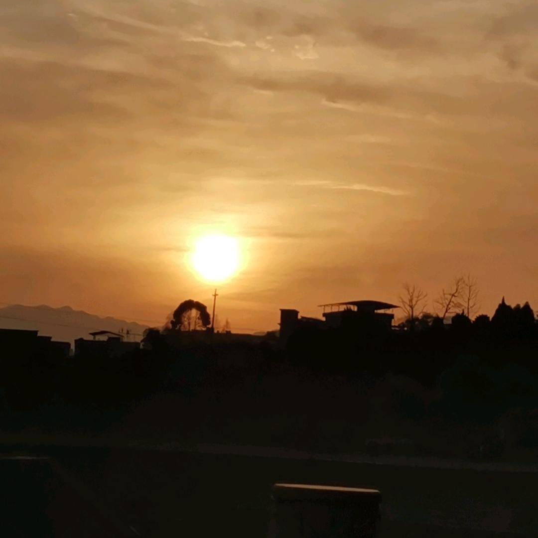 ༺❀ൢ自༒渡❀ൢ༻