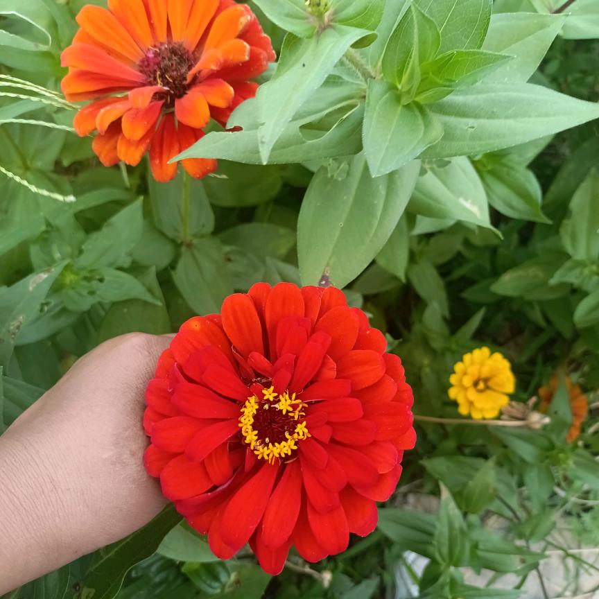 🥀ꦿ꯭会流泪💞的眼睛
