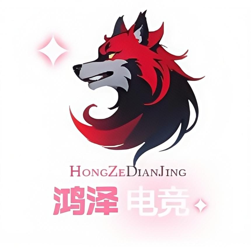 鸿泽电竞（三角洲行动）