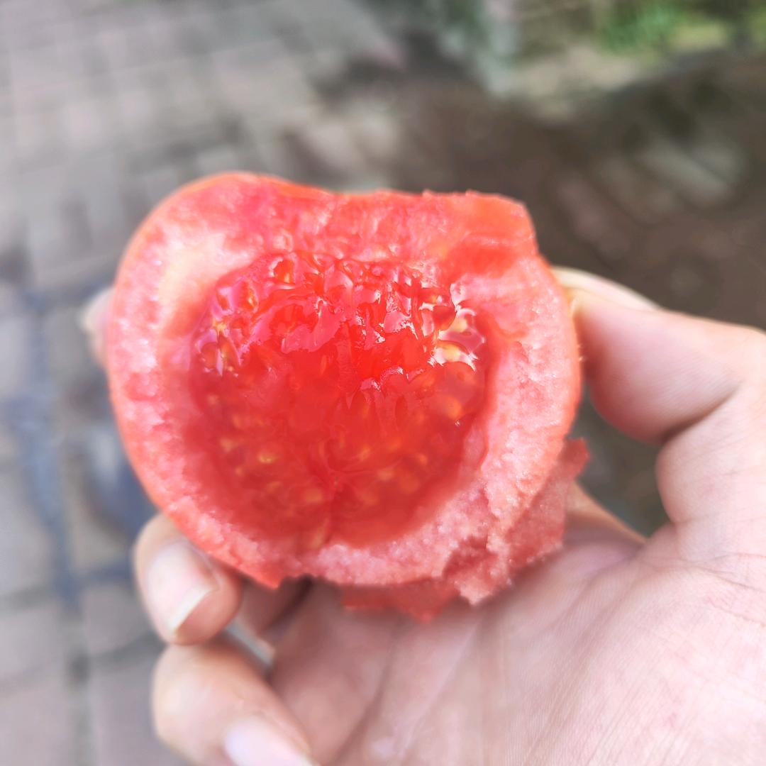 变老的人