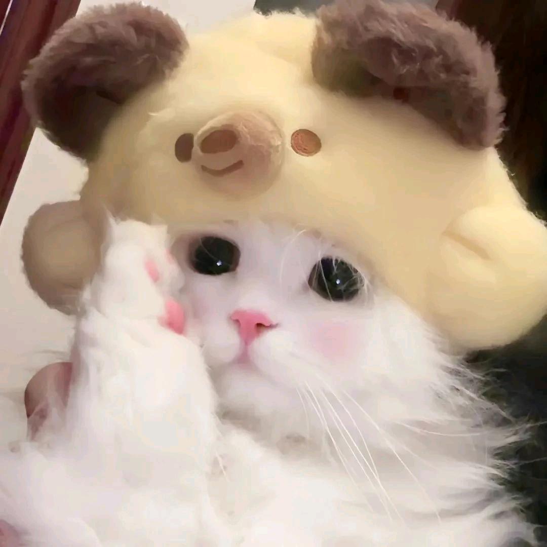 清酱