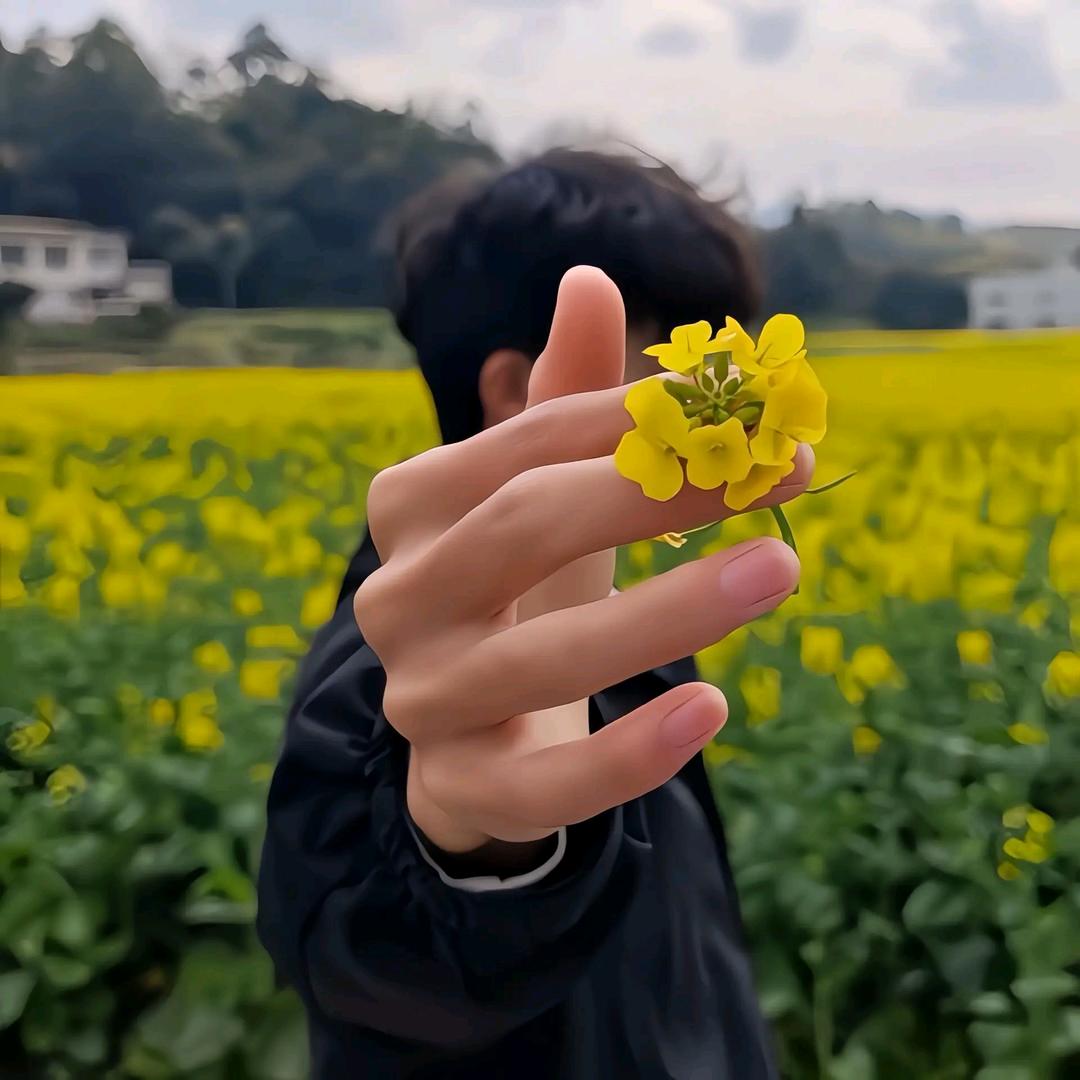 送你一个好运气✨壹号