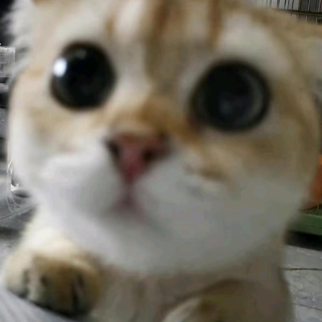 最吊的人