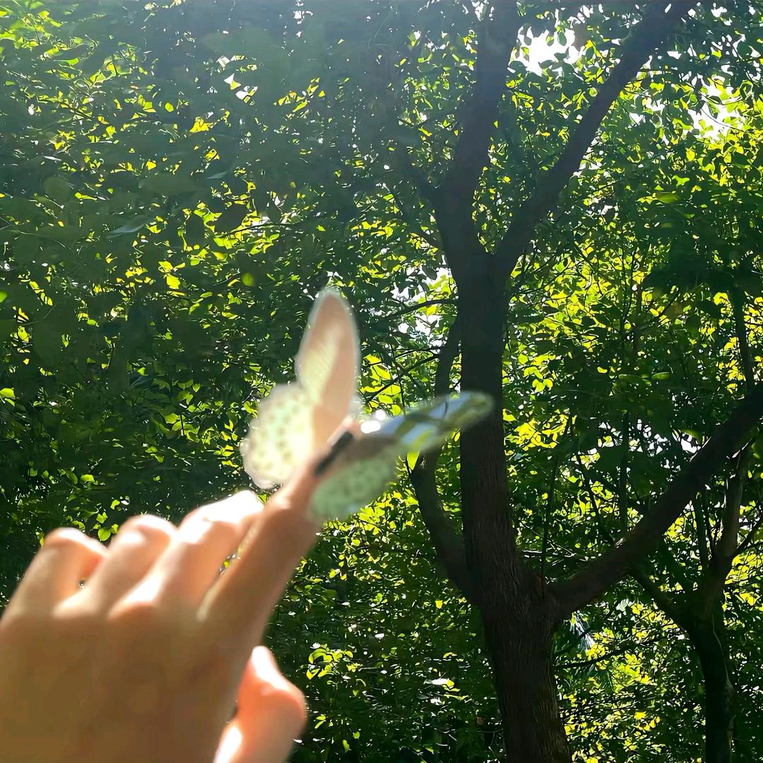 青春助农
