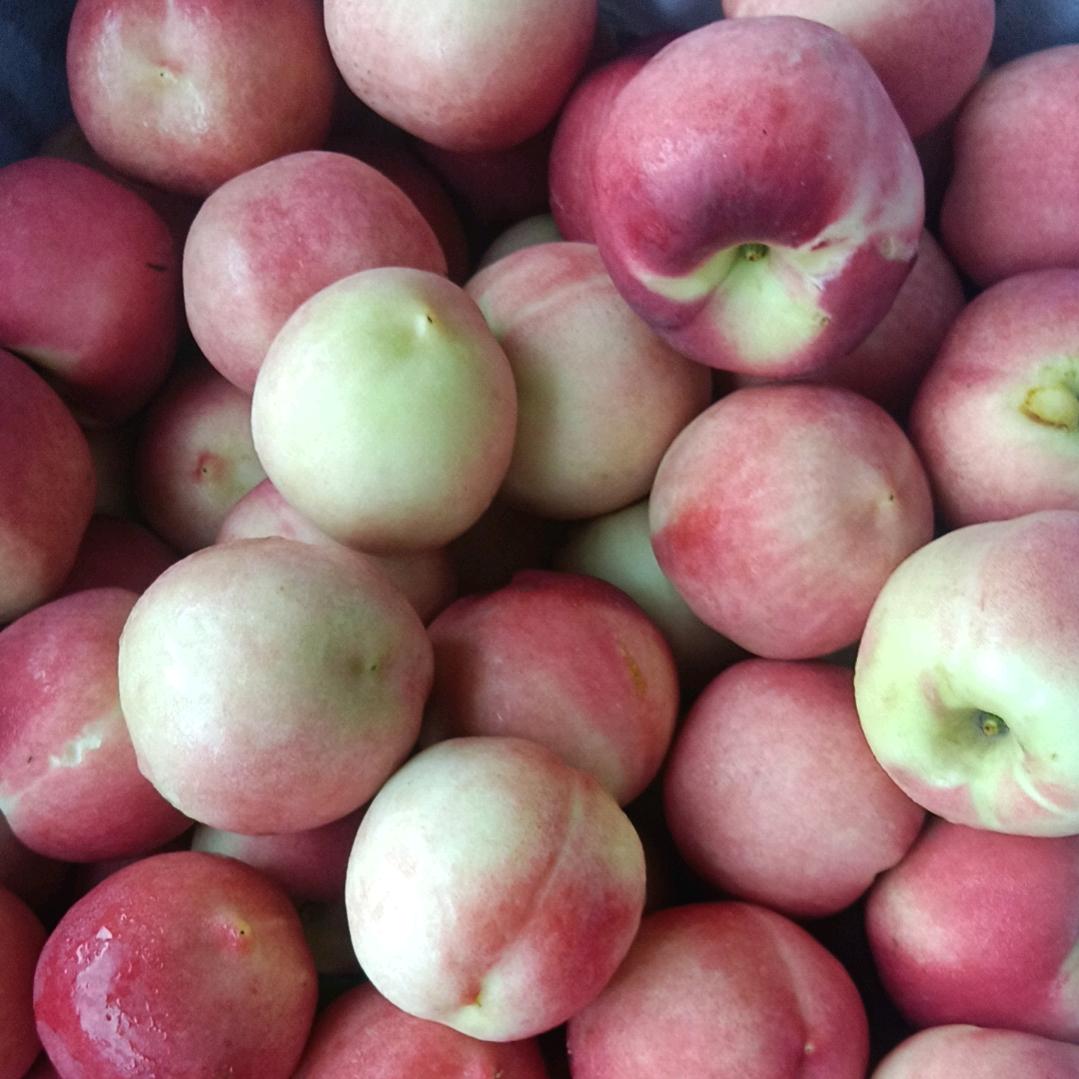 彝良 商人  伤人