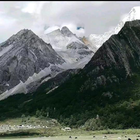 ，