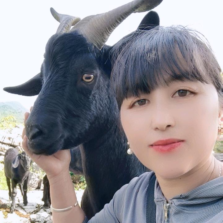 放羊小妹