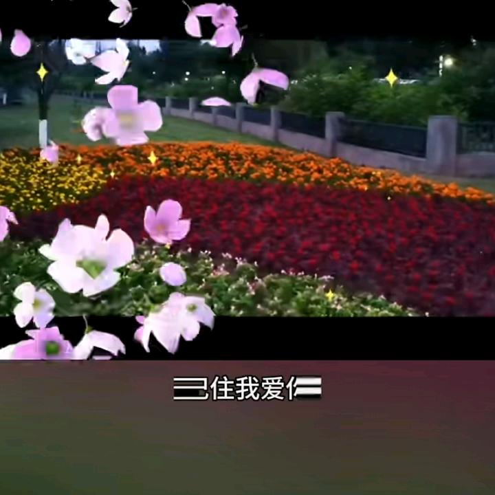 中江开心老阿姨