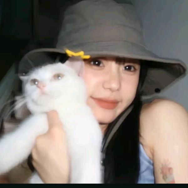 绝缘体..