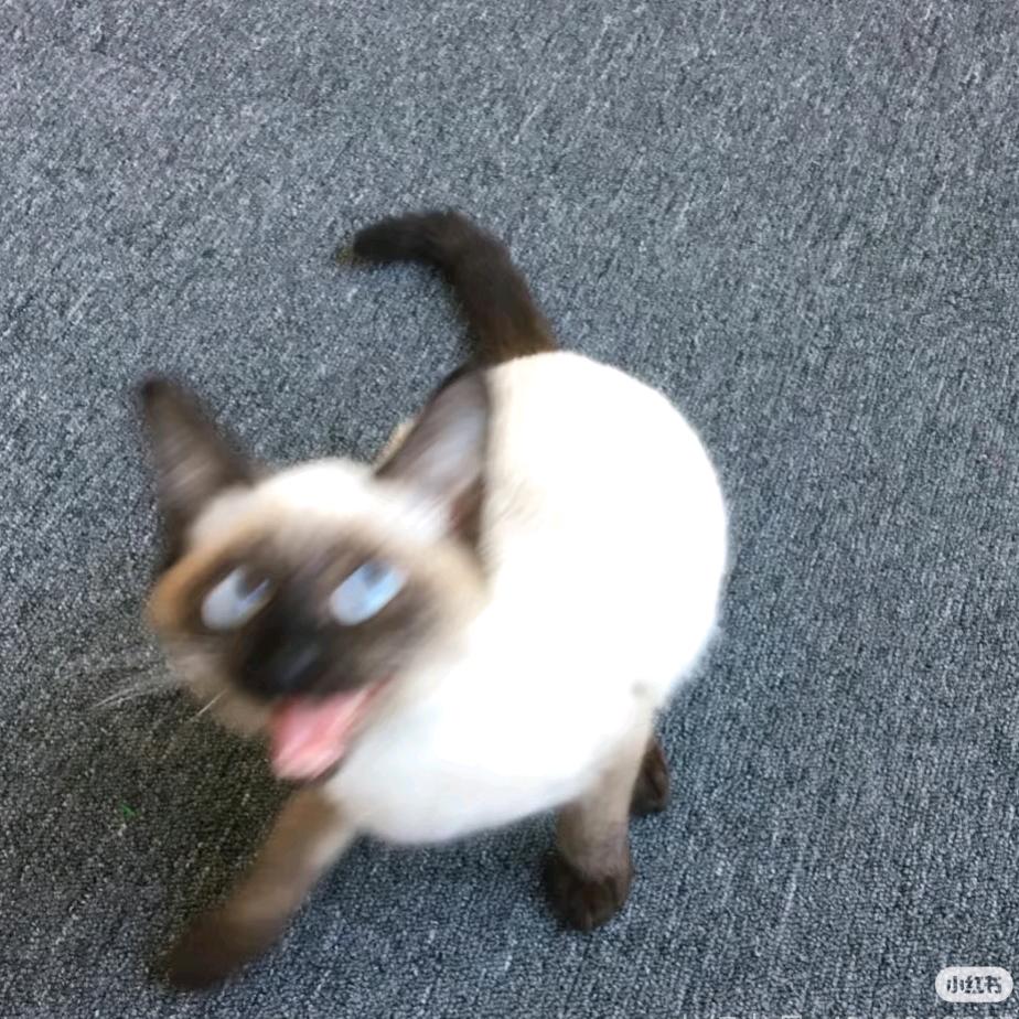 百变阿叙ki