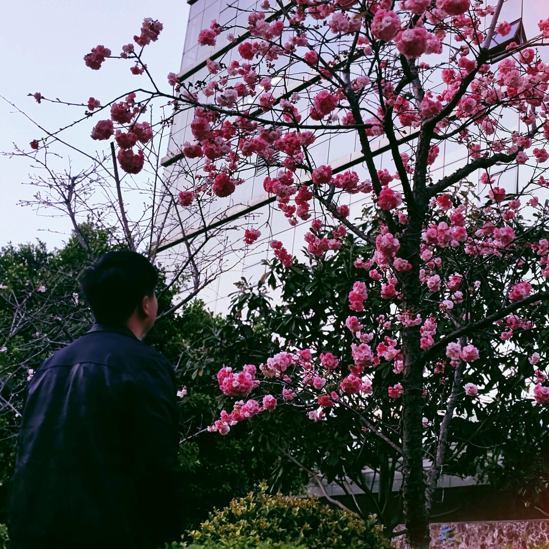 家家