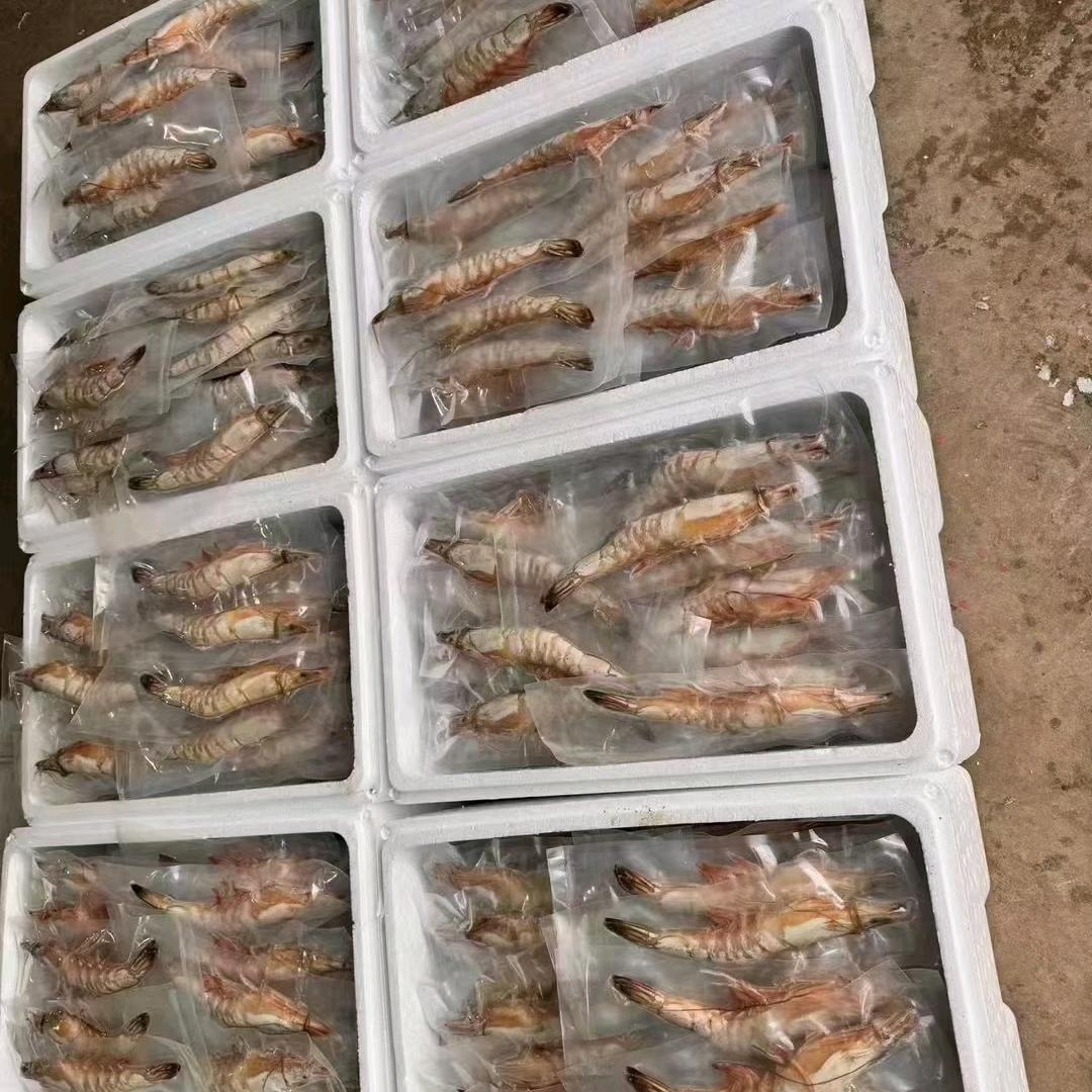碧海蓝天，生猛海鲜