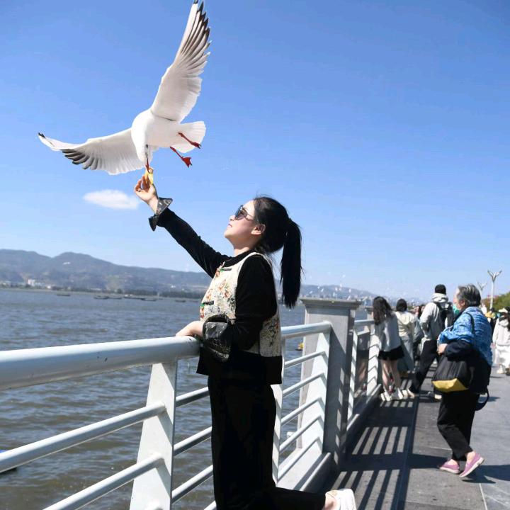 小路🌹_255712546