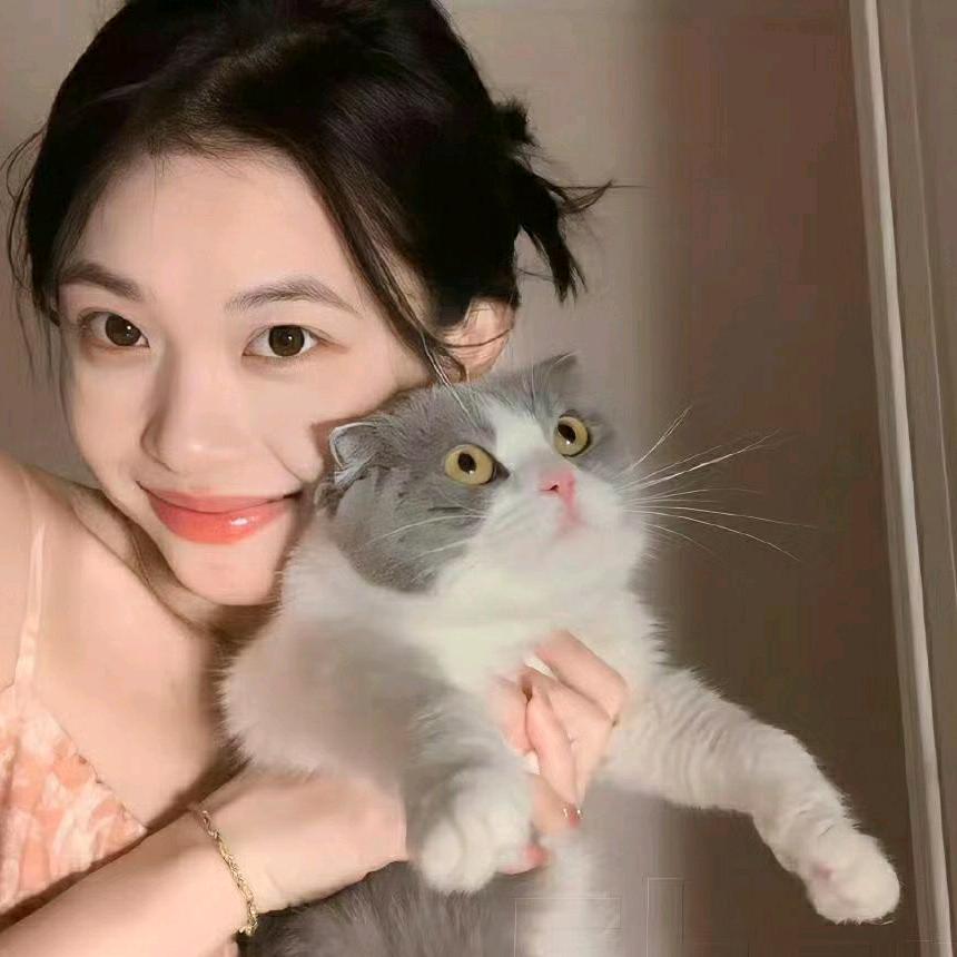 苏苏