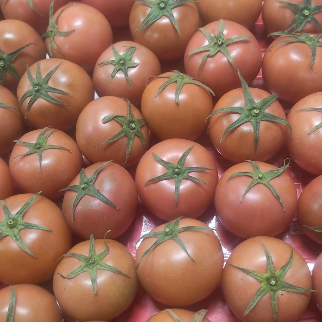 磊磊果蔬配送优品