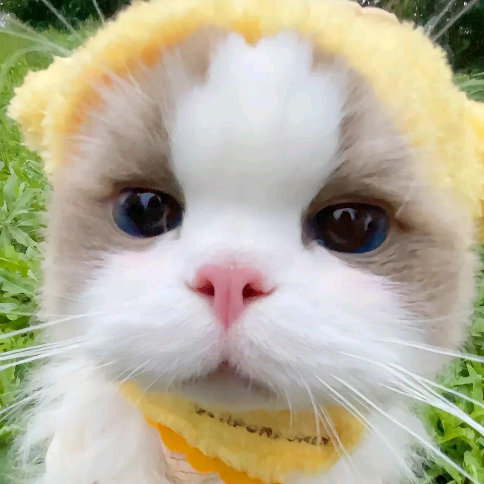 梅州市梅江区小挚网络科技工作室（个体工商户）