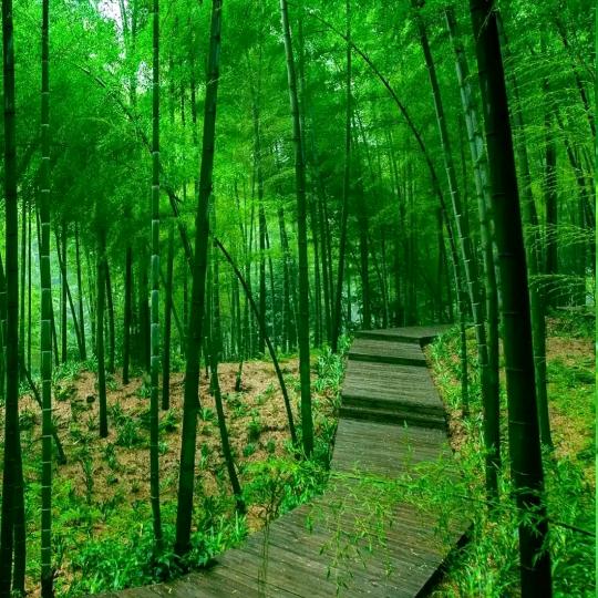平时