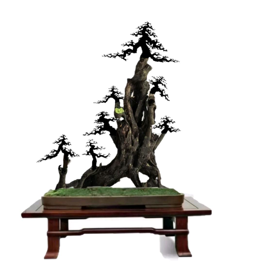 金品。盆景园乙