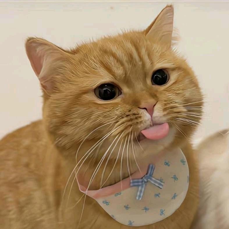 武汉周末去哪玩