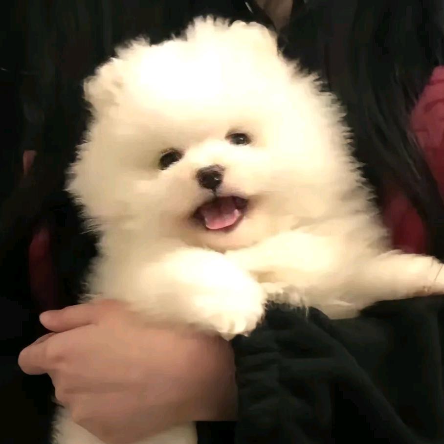 Echo⁶⁰⁶🍂ᴴˣ ˡ🖤