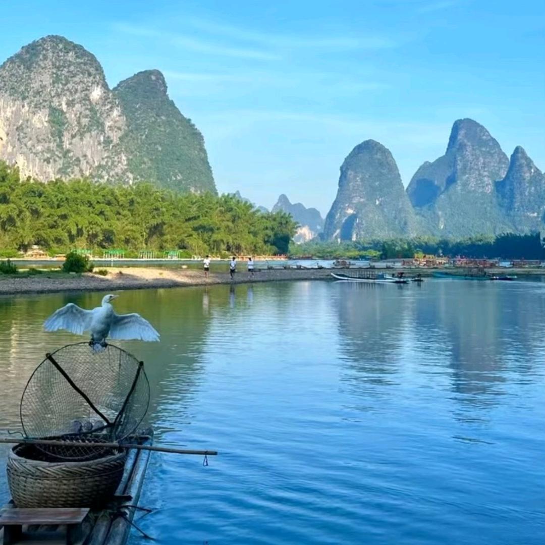 阳(魔术贴生产厂家)