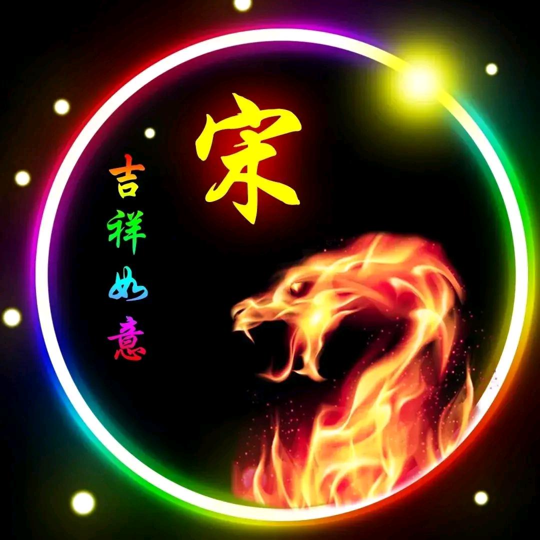 宋伟好物