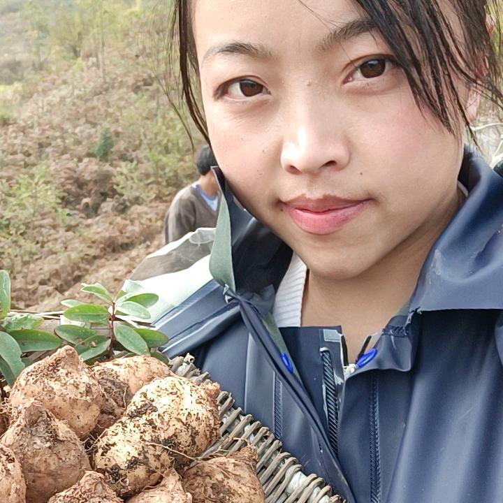 飞飞姐，