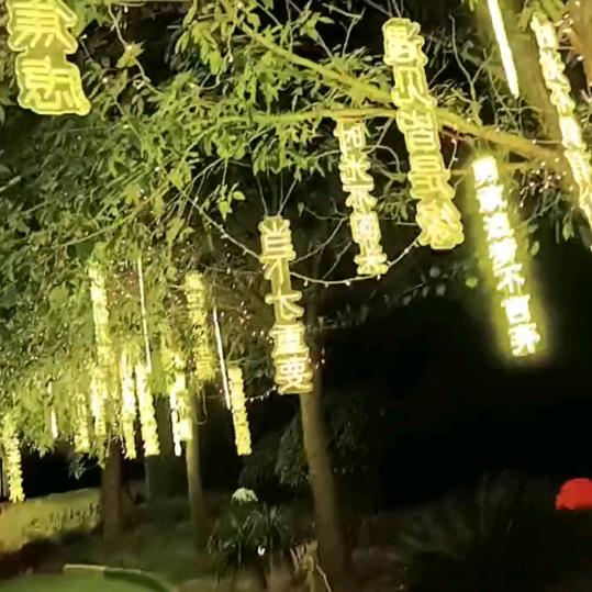 🌹初秋微凉🥀