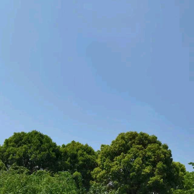 囉囉喂