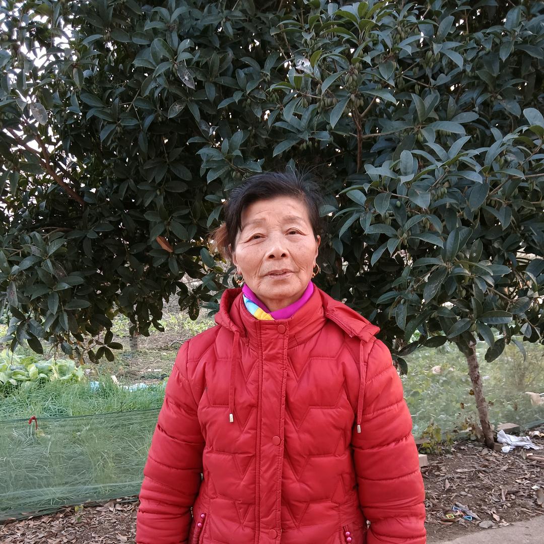 赵奶奶《晚上八点二十开播》