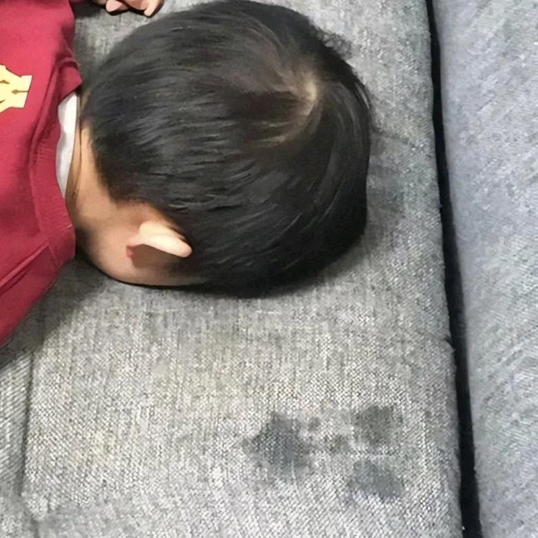 蒹葭且蒹葭