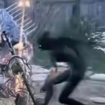 无极帝国长公主