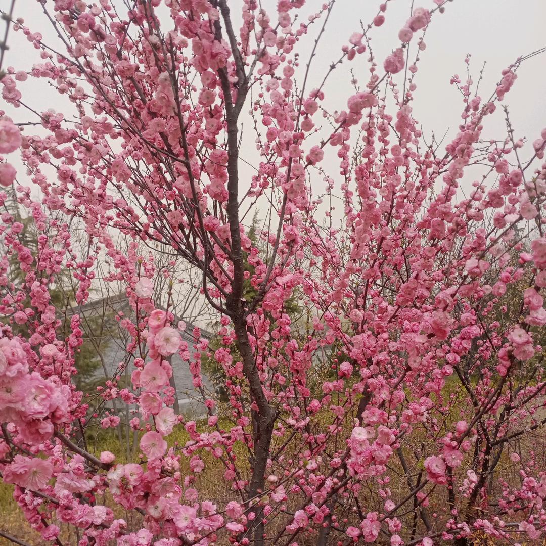 好运永相伴