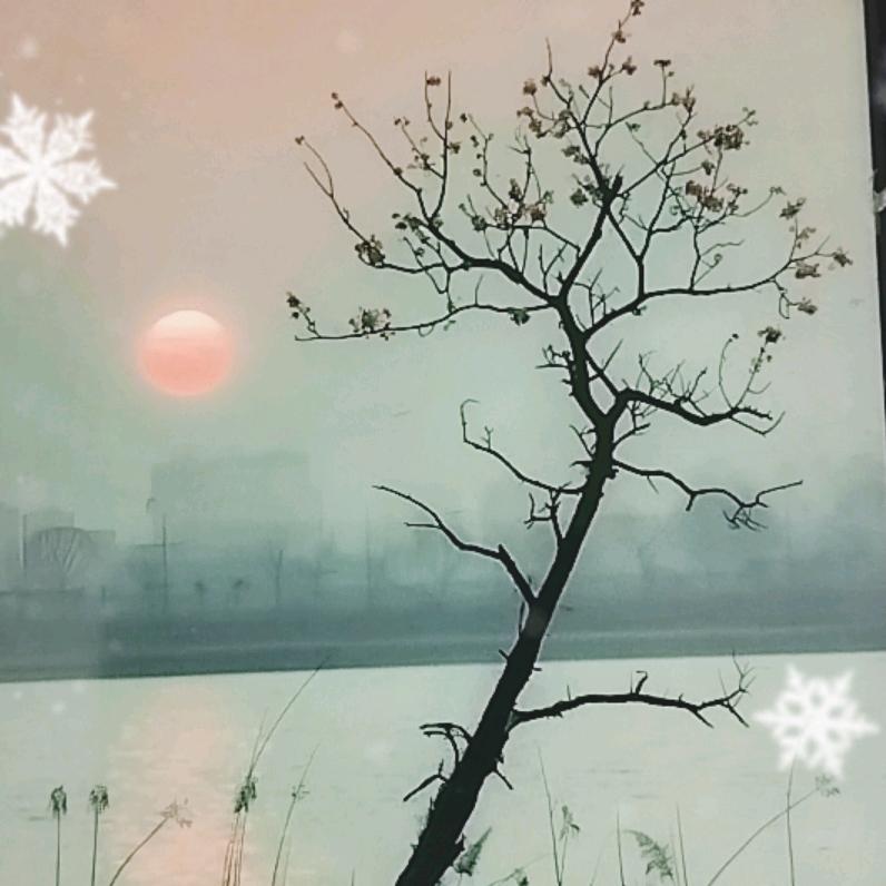 ℳঞ阎 ꦿ䌳  ໌້ᮨ꧔ꦿ᭄