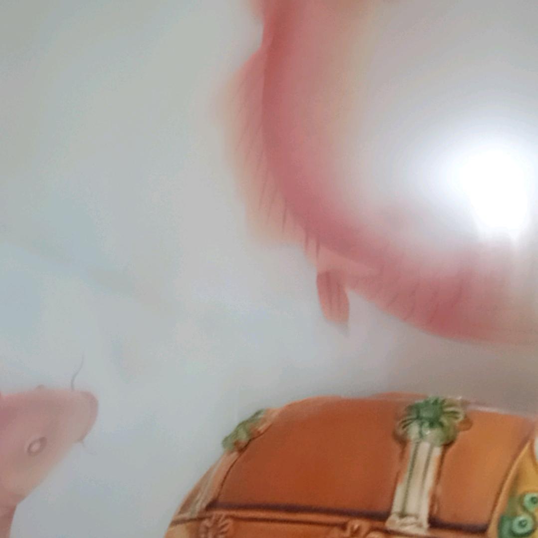 凤凤