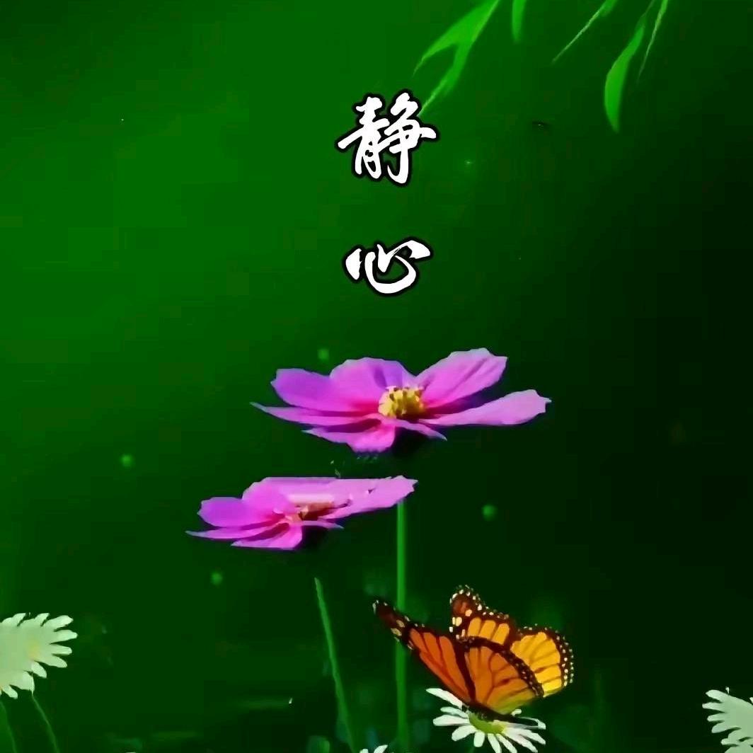 人间从容