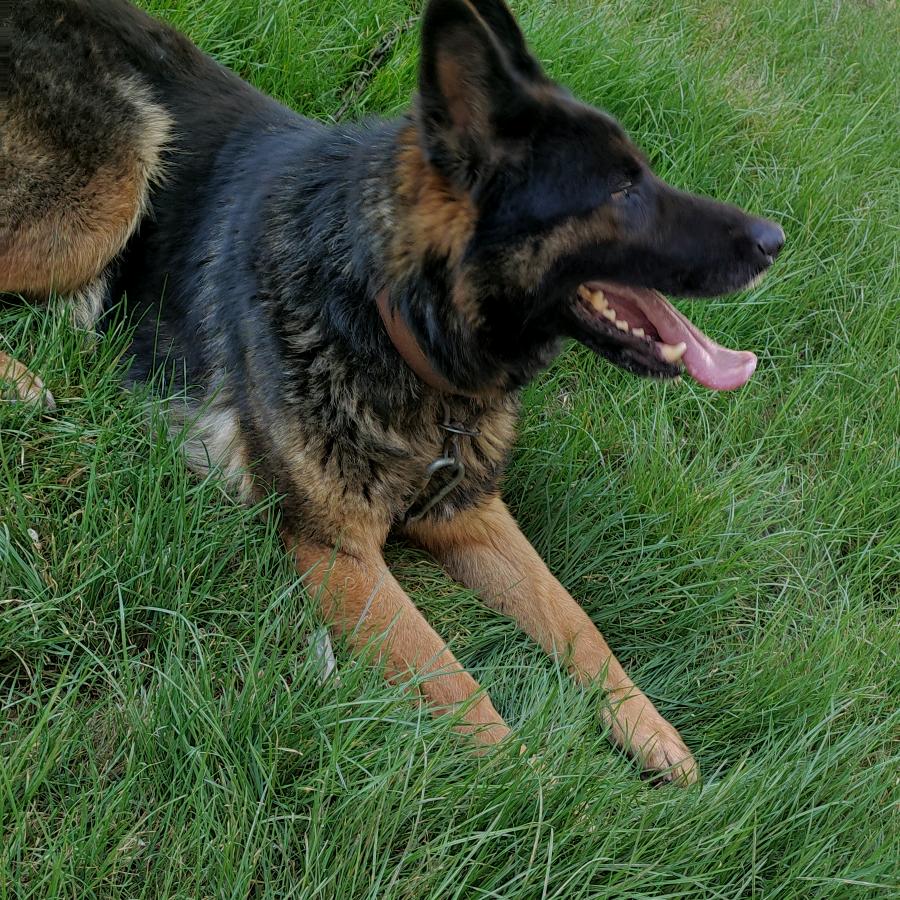 铜川309生态农场