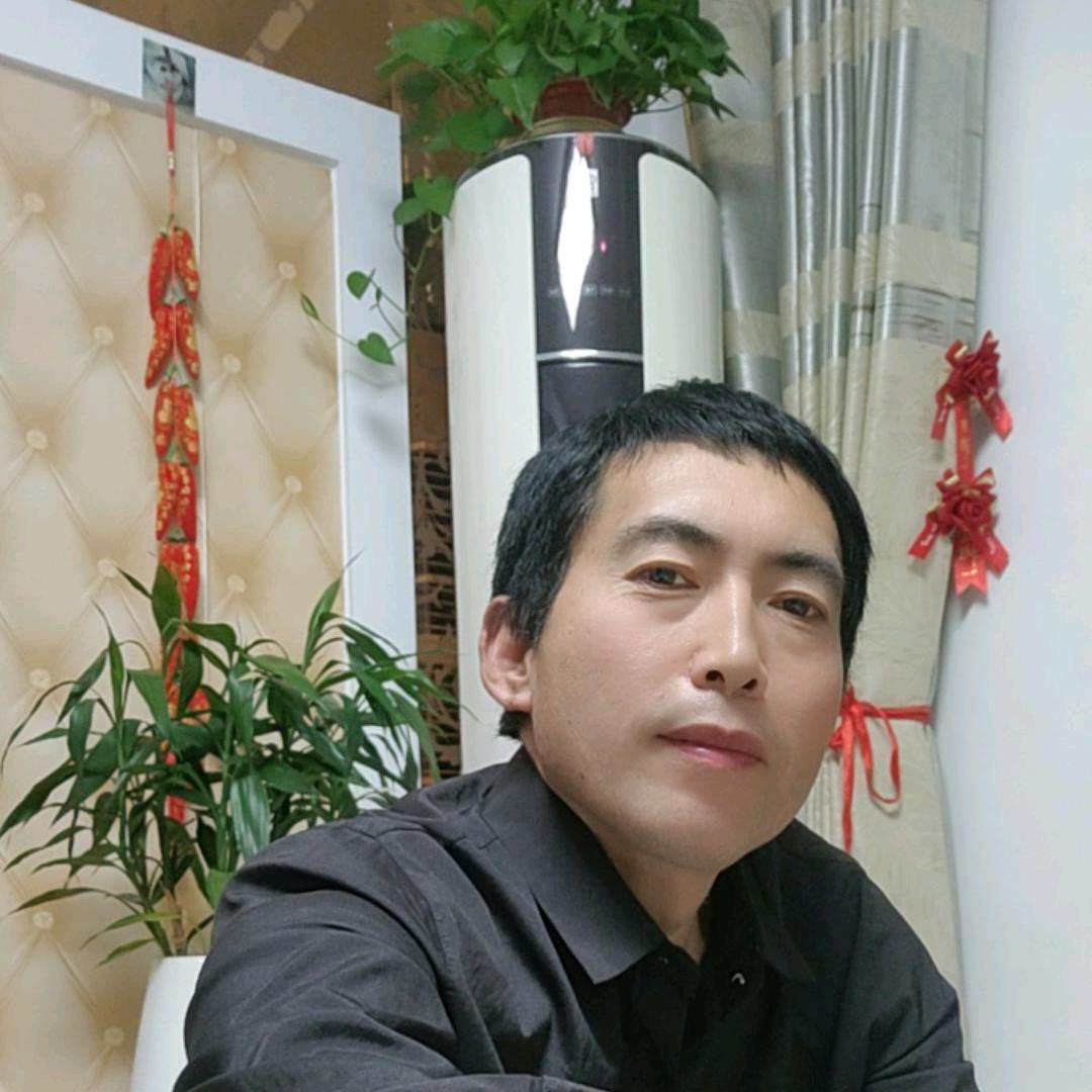 努力的齐总