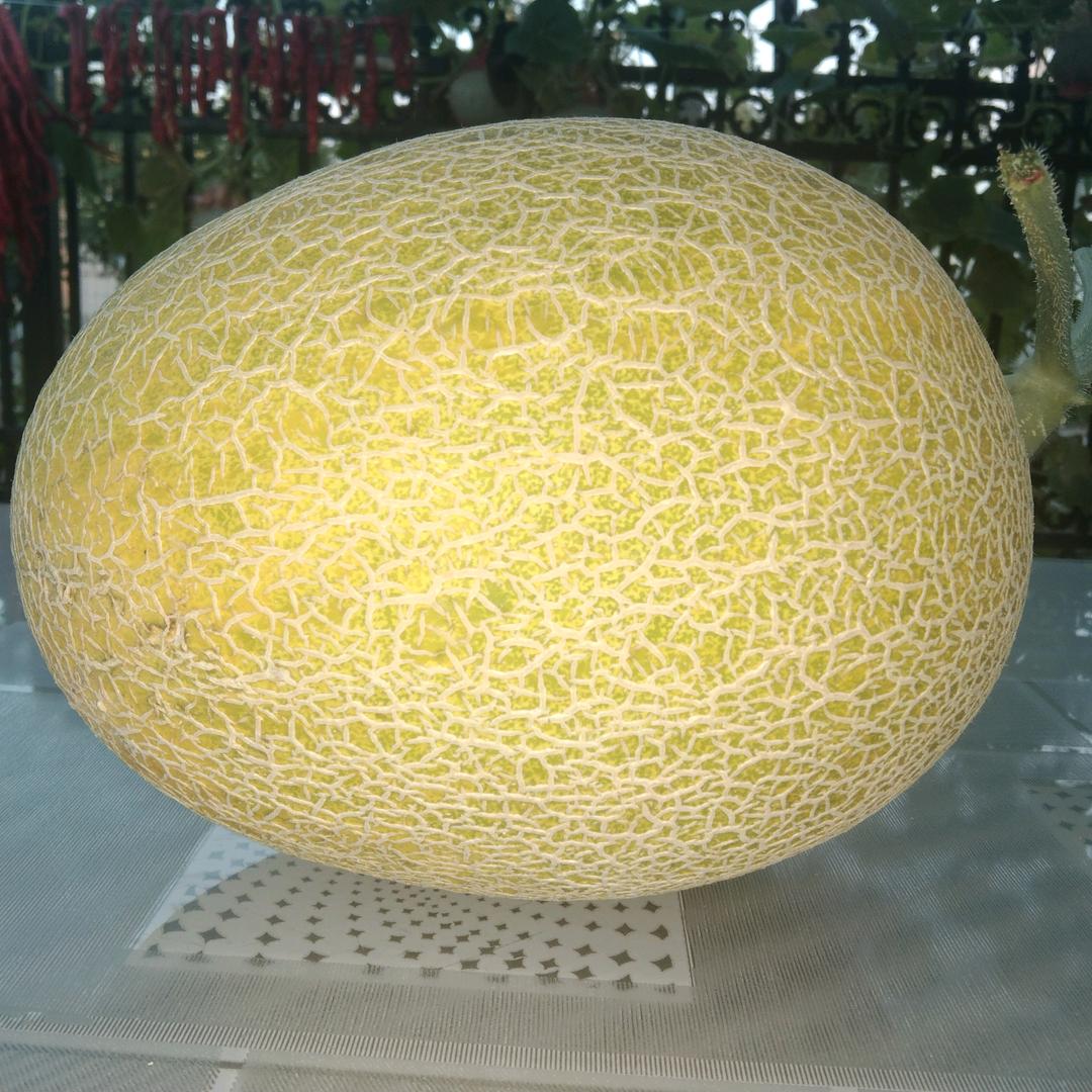 张仁元