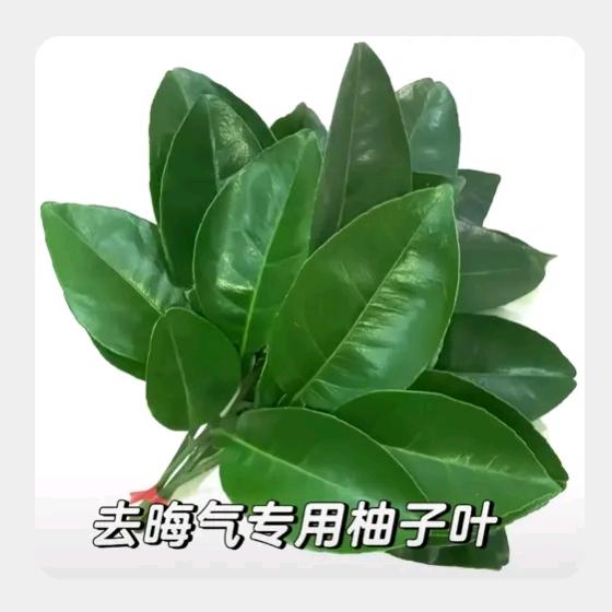 热心市民小铃铛