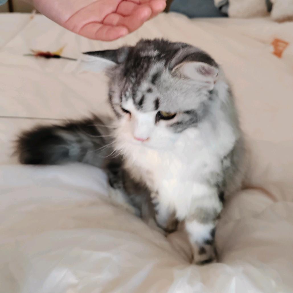 小乔爱玩@