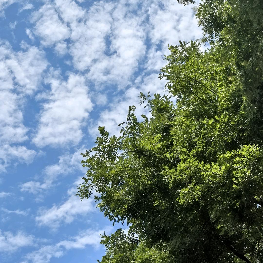 西安宝大行-高过