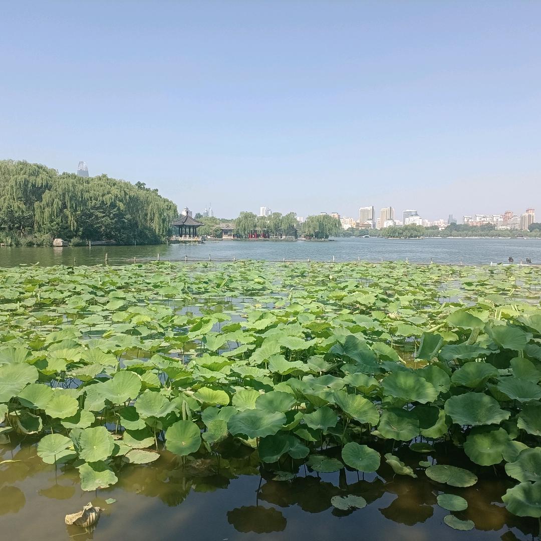 天骏蒙古风情园  心晴