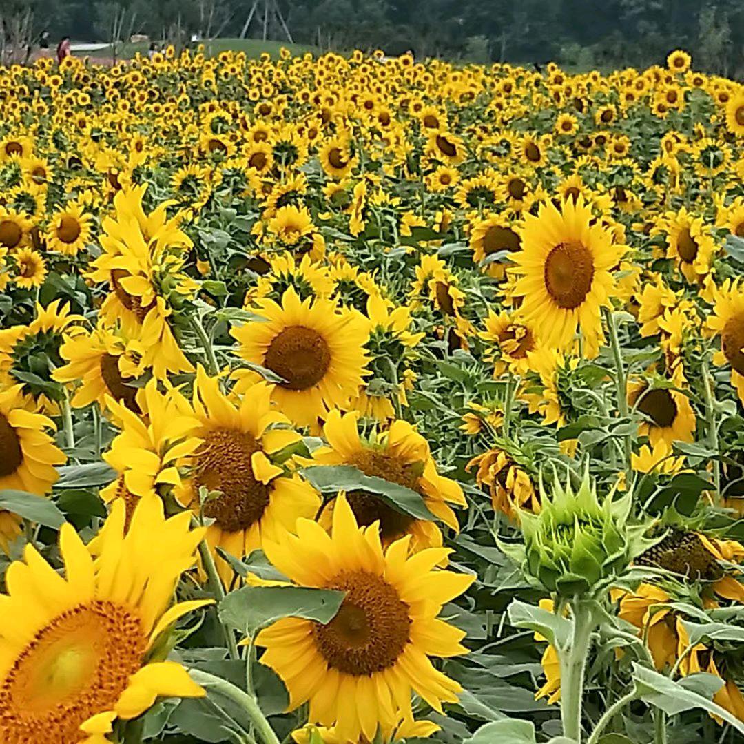 靠别人不如靠自己